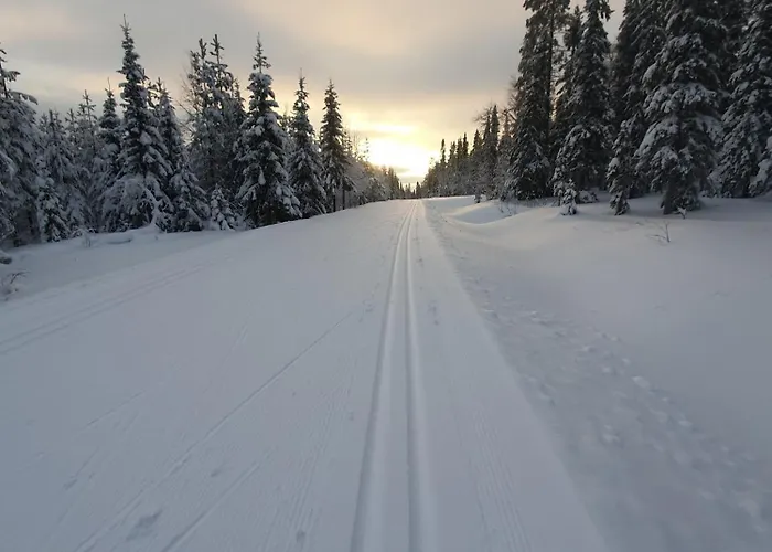 Kelolehto 20 Jaerven Ja Ladun Laehellae