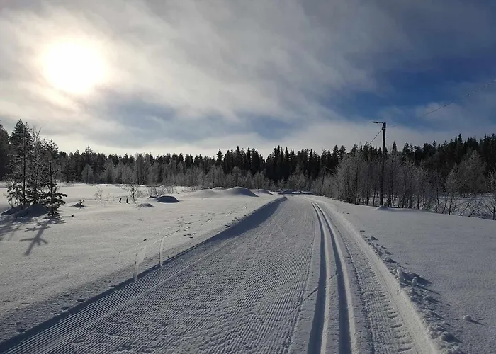 Kelolehto 20 Jaerven Ja Ladun Laehellae